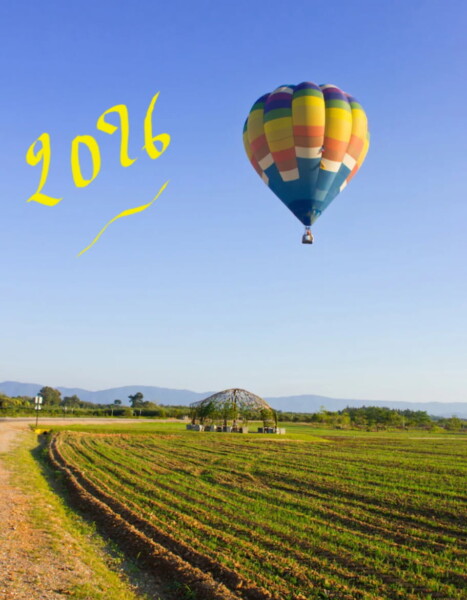 Belle Année 2026 Aurore thomas Balland Psychogénéalogie EMDRNumérologie