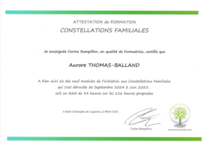 AuroreThomas-Balland Constellations Familiales