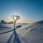 Bertrand Thomas-Balland relation d'aide Psychopraticien